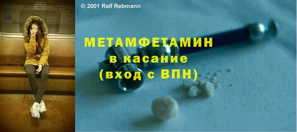 крисы Мегион