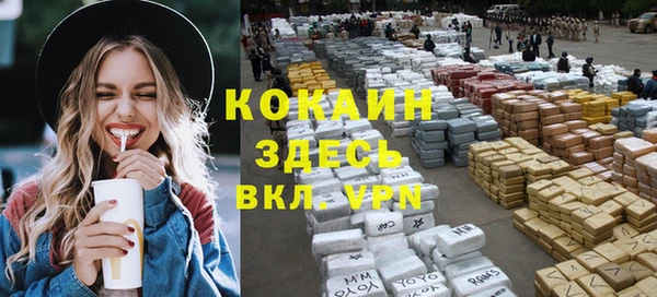 крисы Мегион