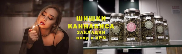 крисы Мегион