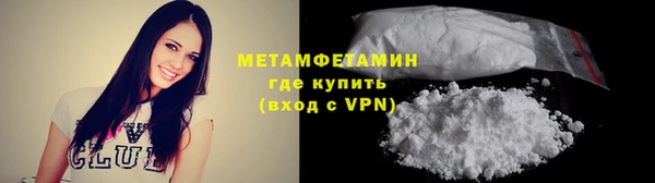 крисы Мегион