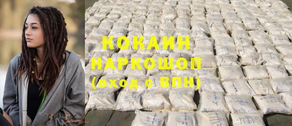 крисы Мегион