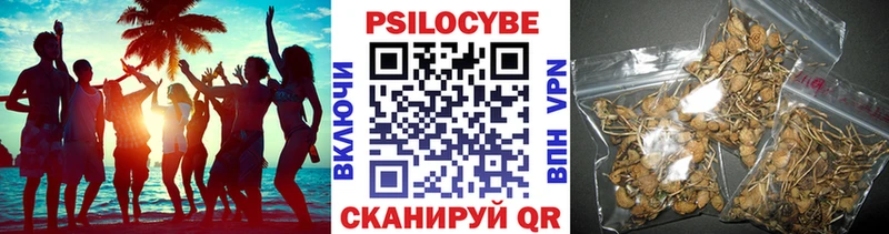 Галлюциногенные грибы Cubensis  MEGA ССЫЛКА  Надым 