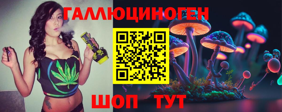 купить наркотик  Псилоцибиновые грибы GOLDEN TEACHER  Вход с VPN  Галлюциногенные грибы Psilocybine cubensis  Надым 