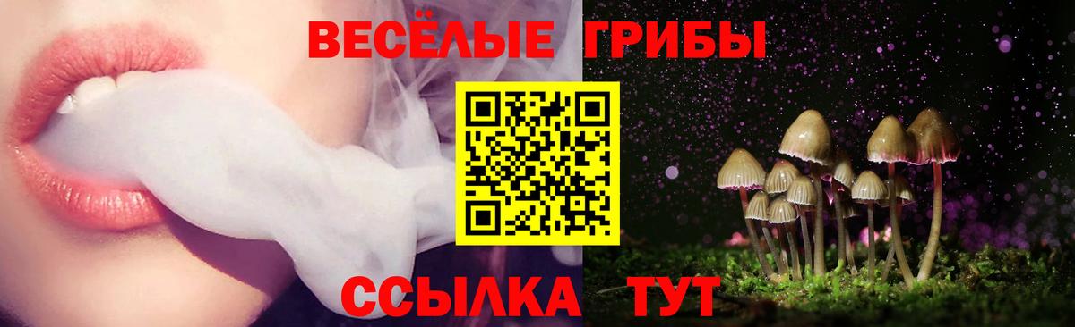 Псилоцибиновые грибы Magic Shrooms Надым
